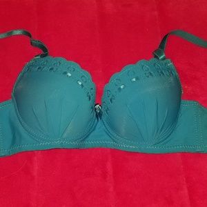 Blue Lace Embellished Pushup Wired